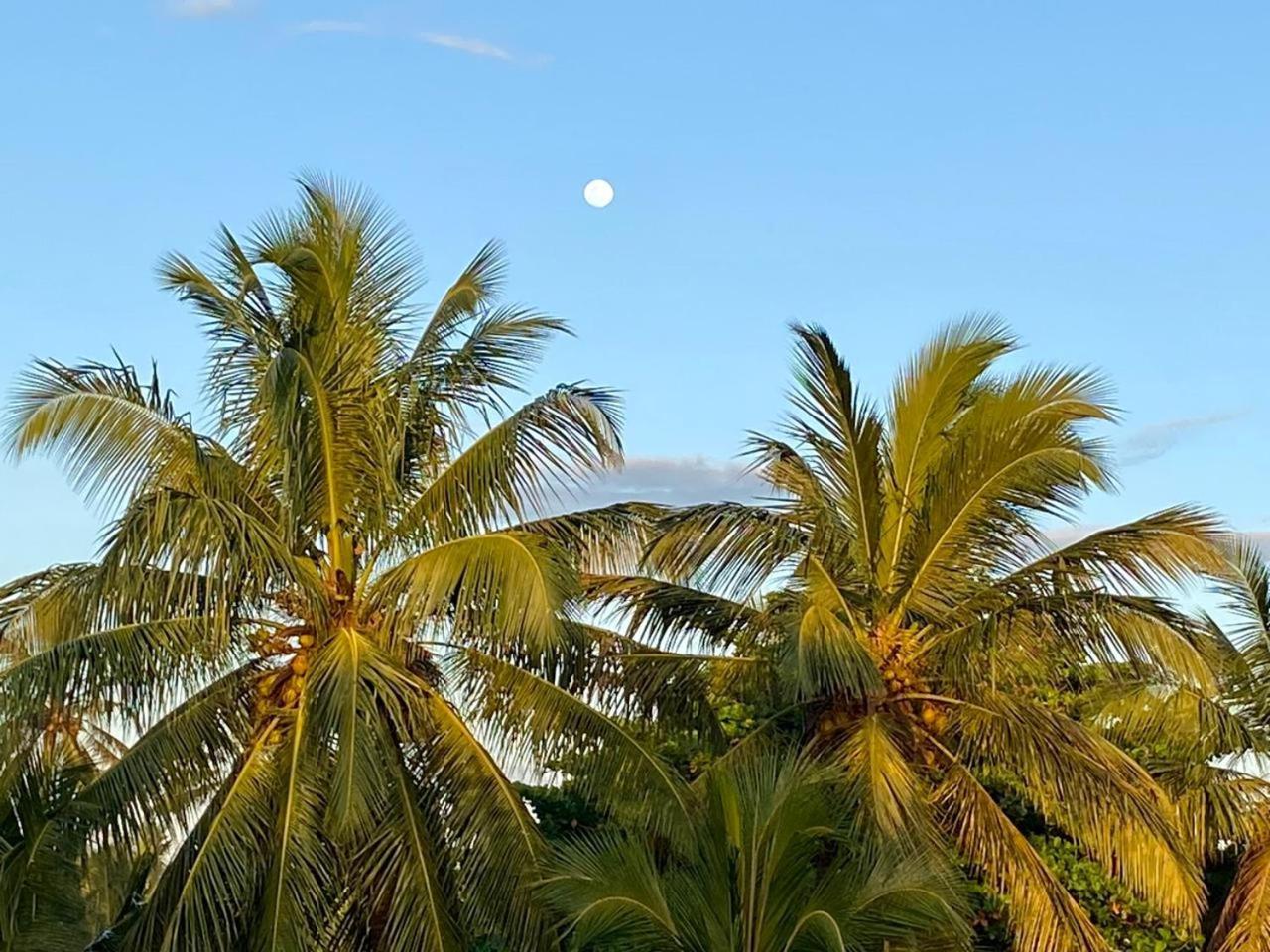 Sasagara Beach Villa Tangalle Exteriör bild